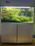 Akwarium optiwhite 250 l
