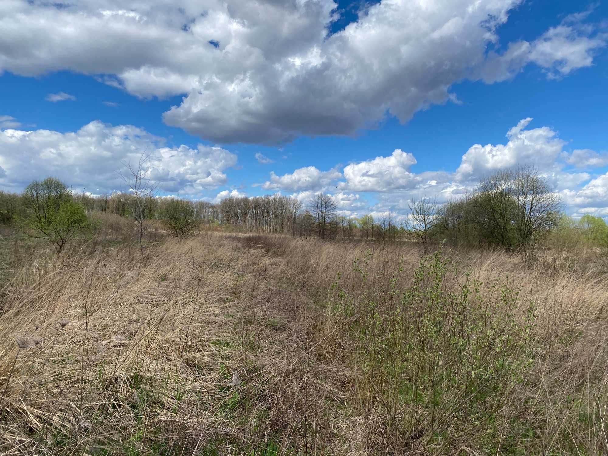 Продам земельну ділянку під СГ в Отинії