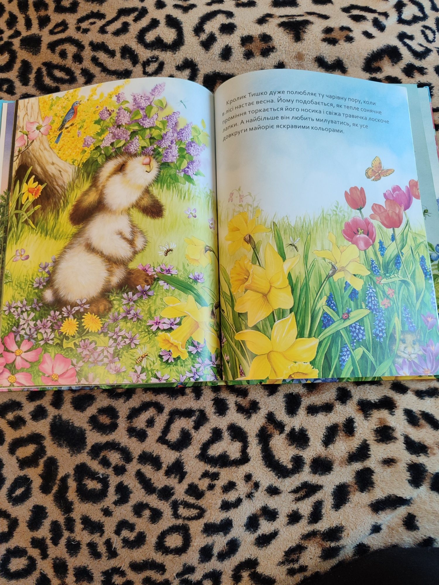 Книга для самых маленьких Кролик Тишка