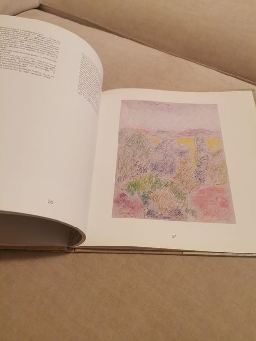 Livro Resende sinais no espaço e no tempo