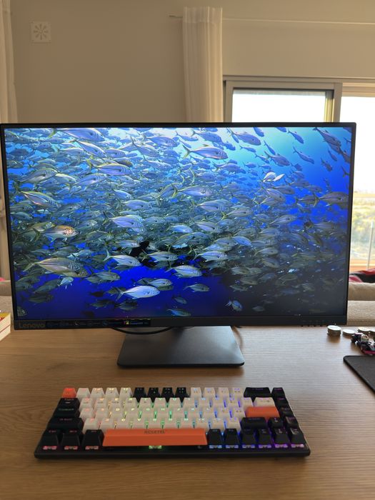 Monitor 4k N27p Lenovo - 3 meses de uso