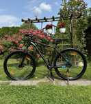 Rower górski MTB Kellys Spider 70 black 29”/ L