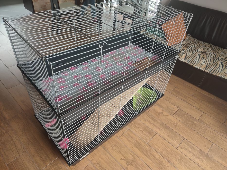 Duża klatka piętrowa 120 cm x 60 cm dla świnki morskiej, królika