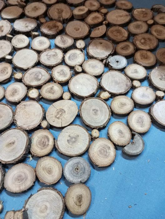 Срізи деревини з різних порід.