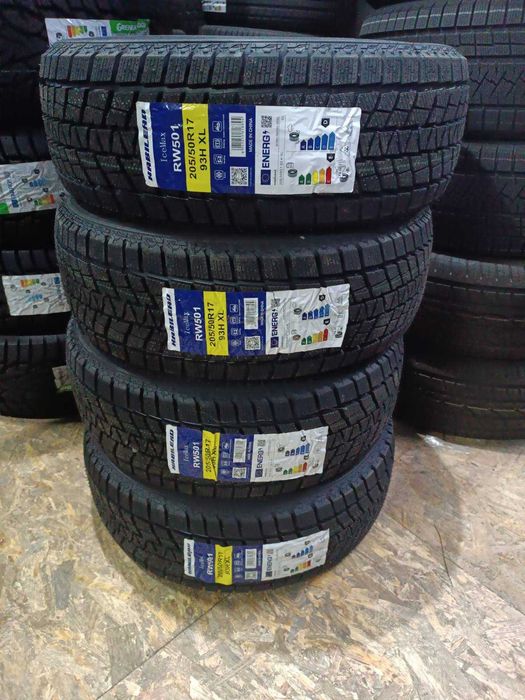 Habilead 205/50 R17 93H XL ICEMAX RW501