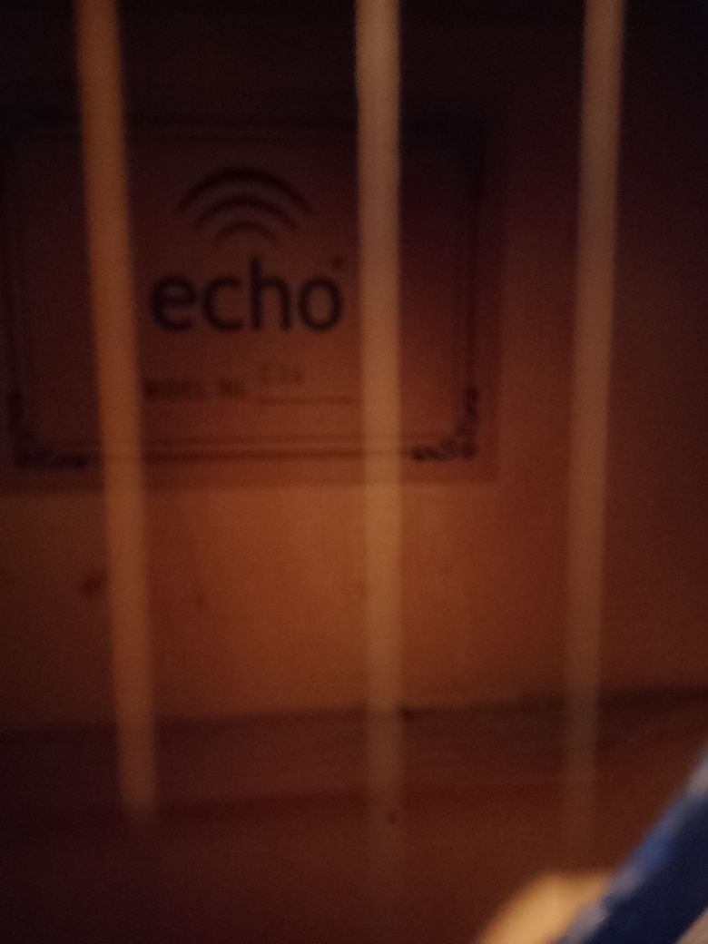Gitara marki Echo