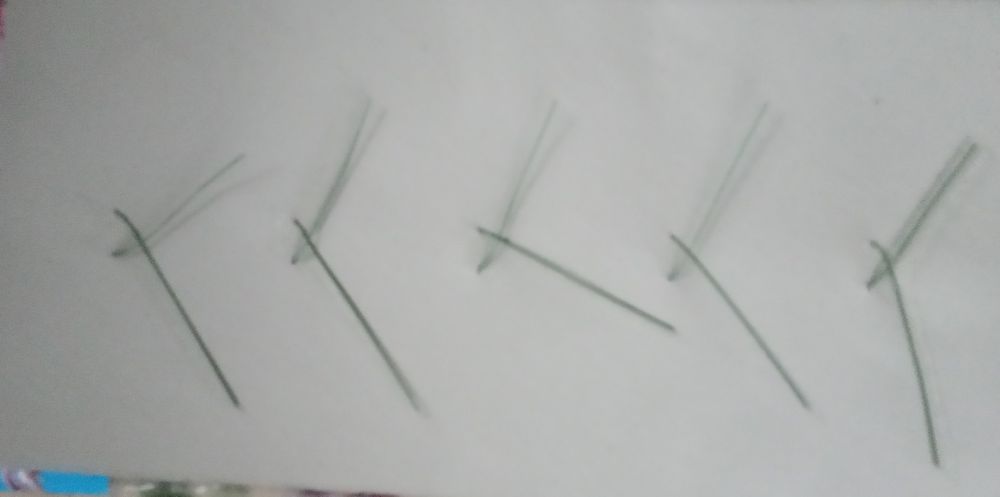 Метелики для декору