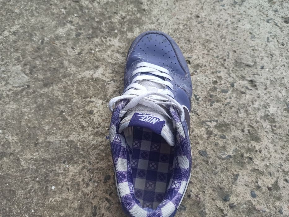Кросівки Nike SB Dunk Low Concepts Purple Lobster