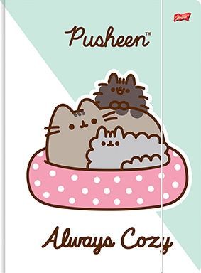 teczka z gumką pusheen the cat kotek zielona