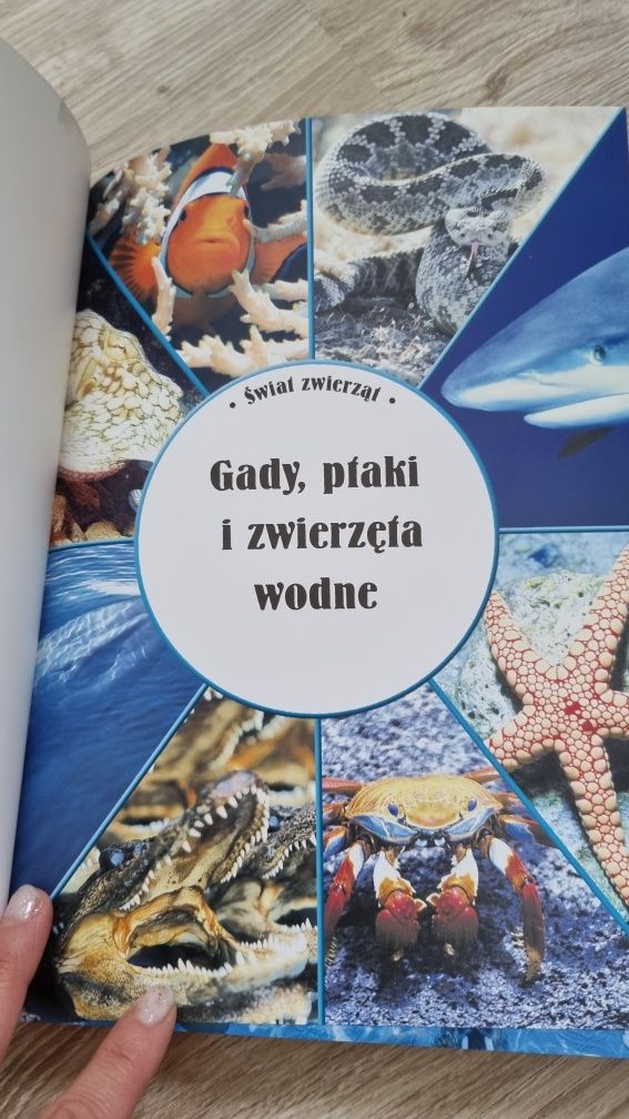 Książka świat zwierząt Stan bdb