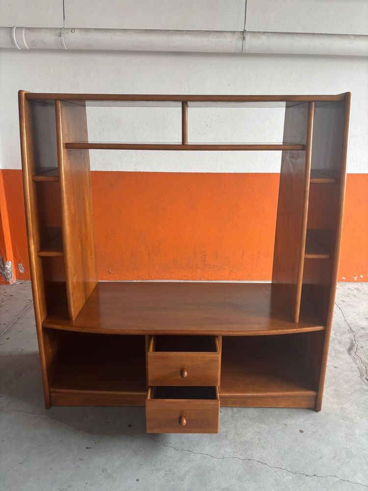 Conjunto de moveis para sala e televisão