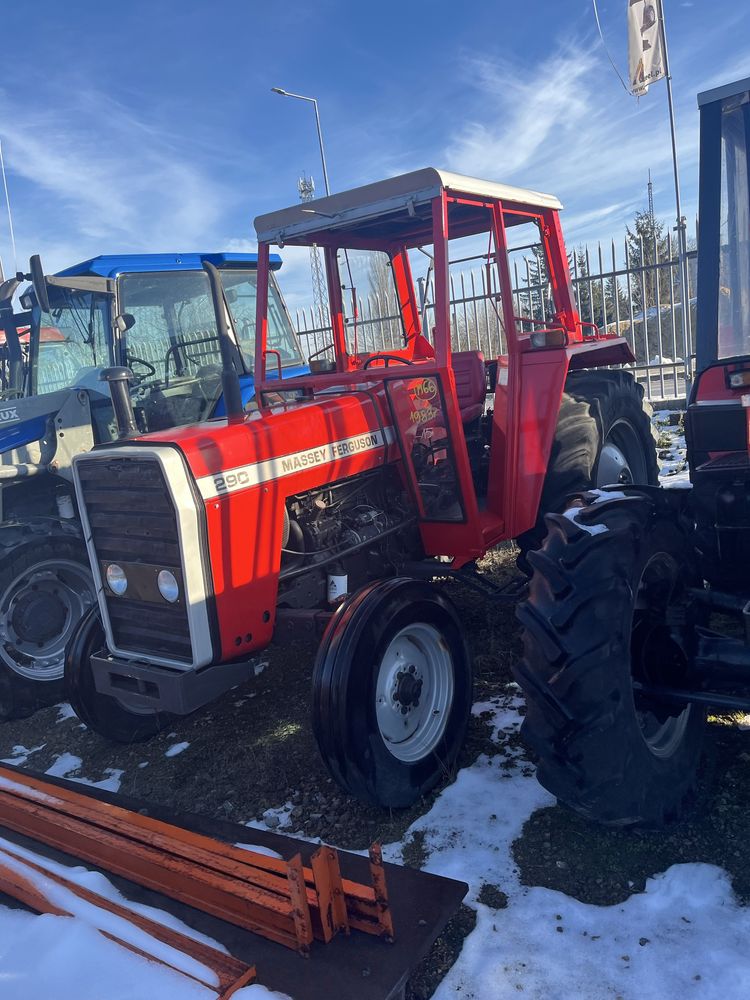 Massey Ferguson sadowniczy
