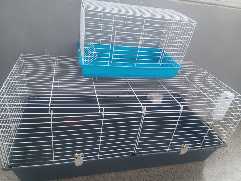 Gaiola para coelho