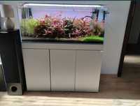 Akwarium 160l optiwhite
