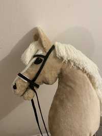 Hobby Horse sport