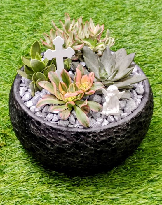 Arranjos com suculentas/ espadas