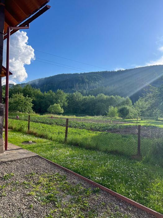 Котедж в Карпатах