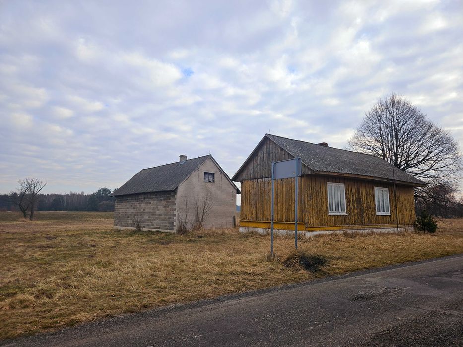 Siedlisko przy rzece Pilicy k. Koniecpola