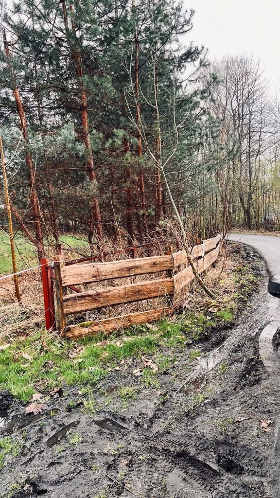 Kamesznica budowlana obok potoku