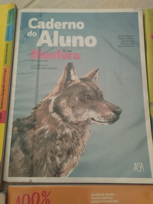 Livros escolares 5 ano