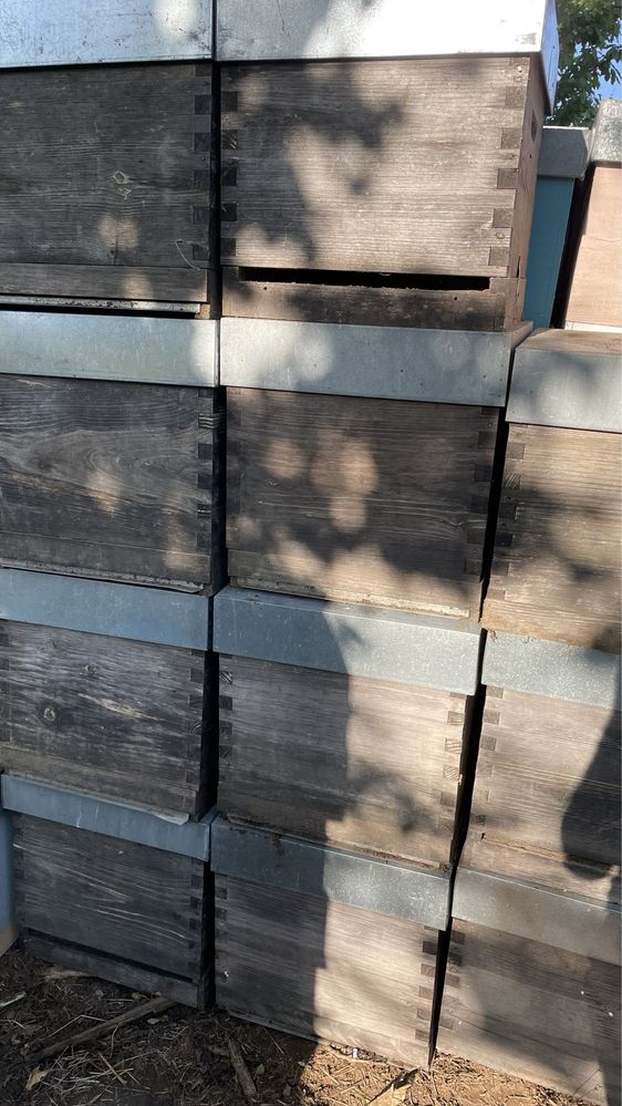 Material apicola