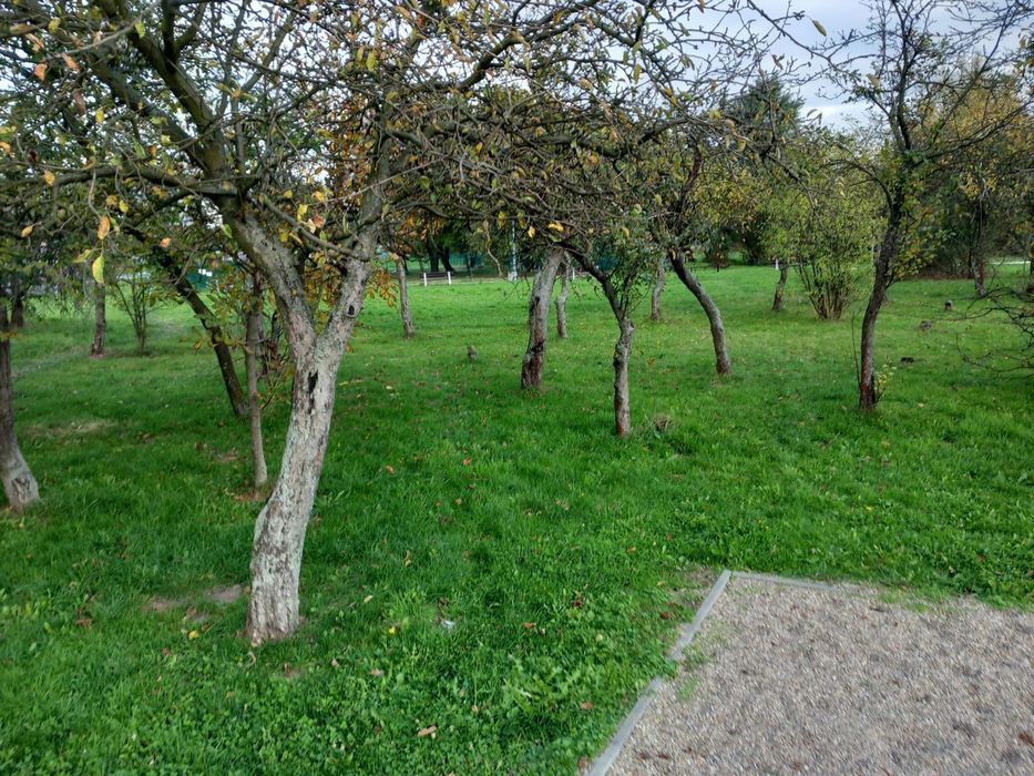 Do sprzedania  działka grutowa typu nierzytek rolny pod tereny zielone