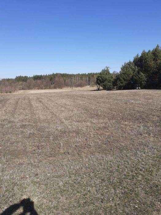 Działki na sprzedaż nad zalewem Siemianówka