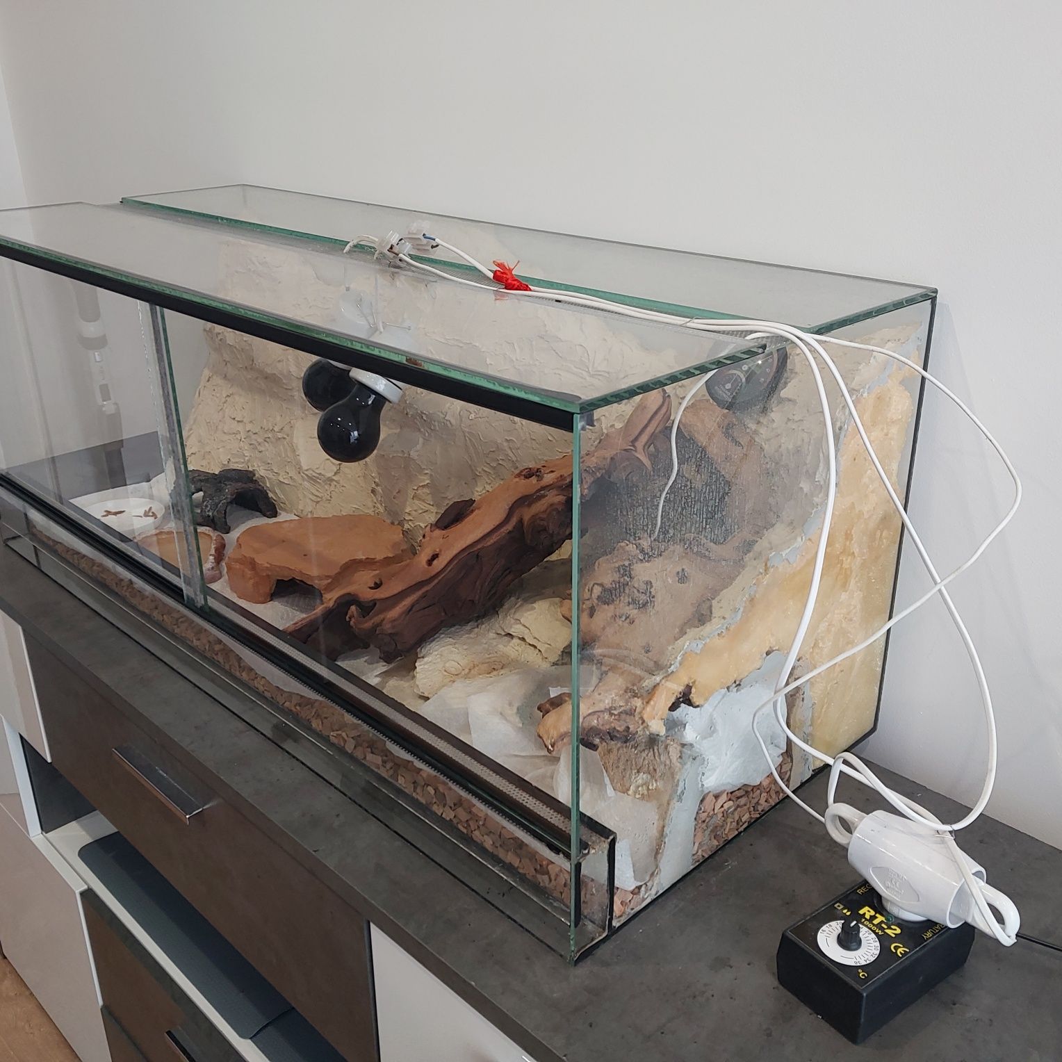 Terarium 100x40x40 z dwoma gekonami lamparci