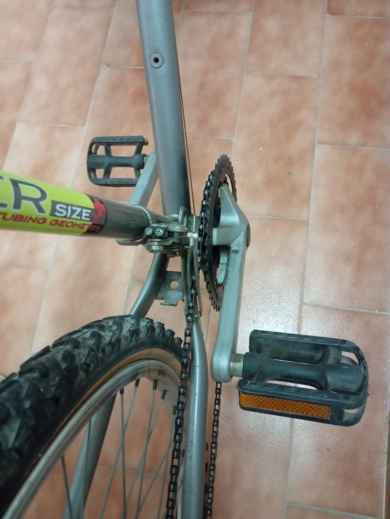 Bicicleta de adulto