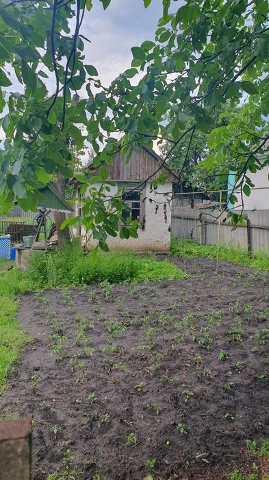 Продаж будинка в центрі міста