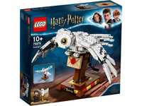 Конструктор LEGO Harry Potter 75979 Букля (630 деталей)