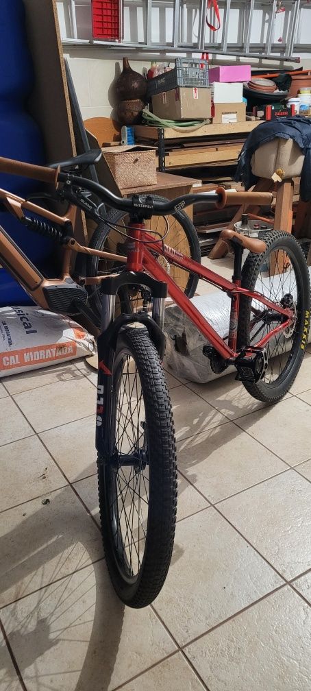 Bicicleta dirt - haro