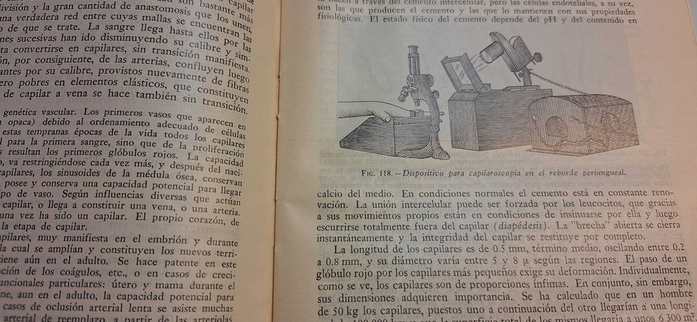 Medicina - Fisiologia Humana