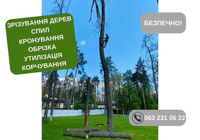 Зрізання аварійних високих дерев Київська обл. Недорого!