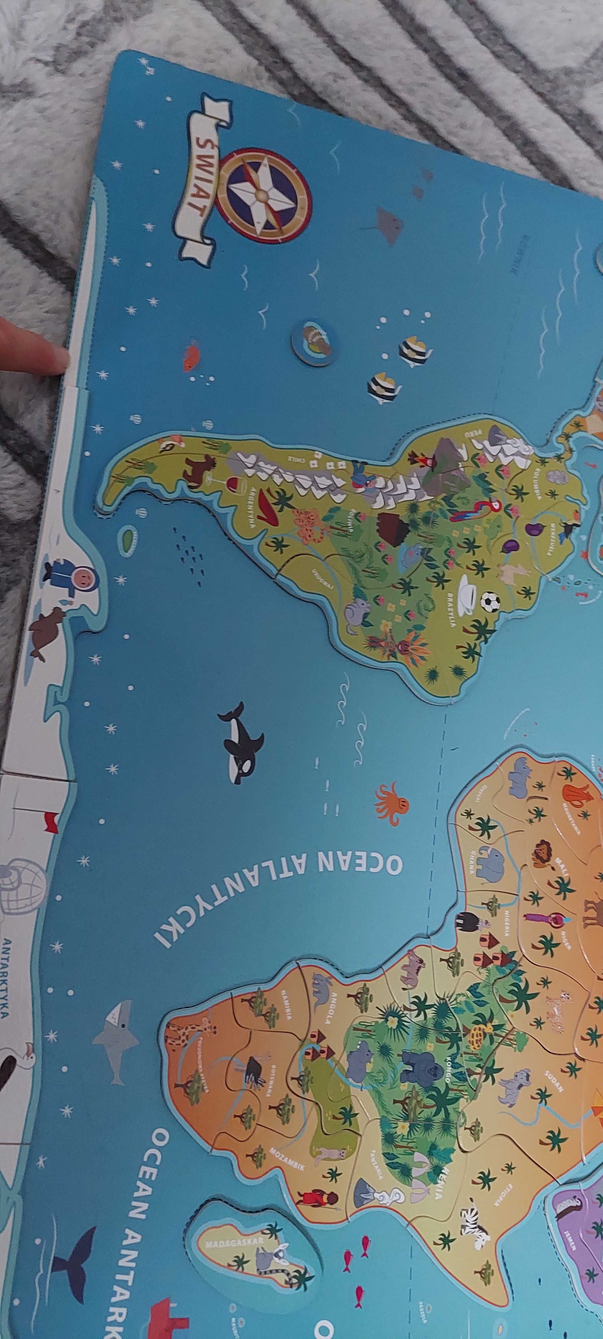 Mapa świata zwierząt magnetyczna
