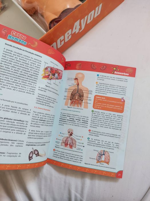 Brinquedo educativo Corpo Humano
