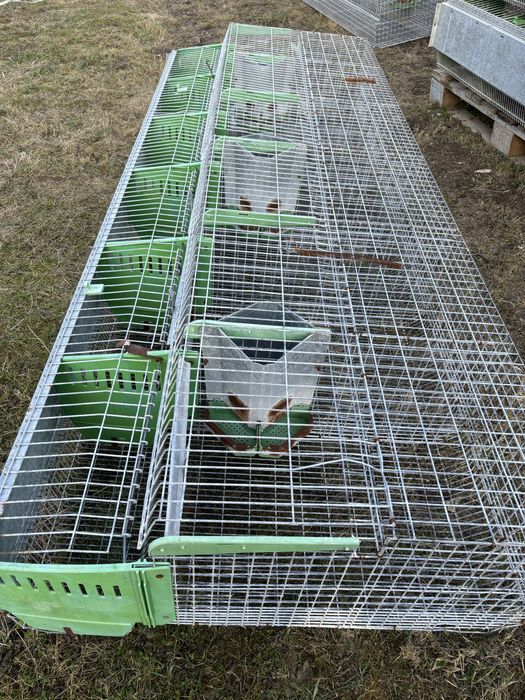 Klatki dla królików