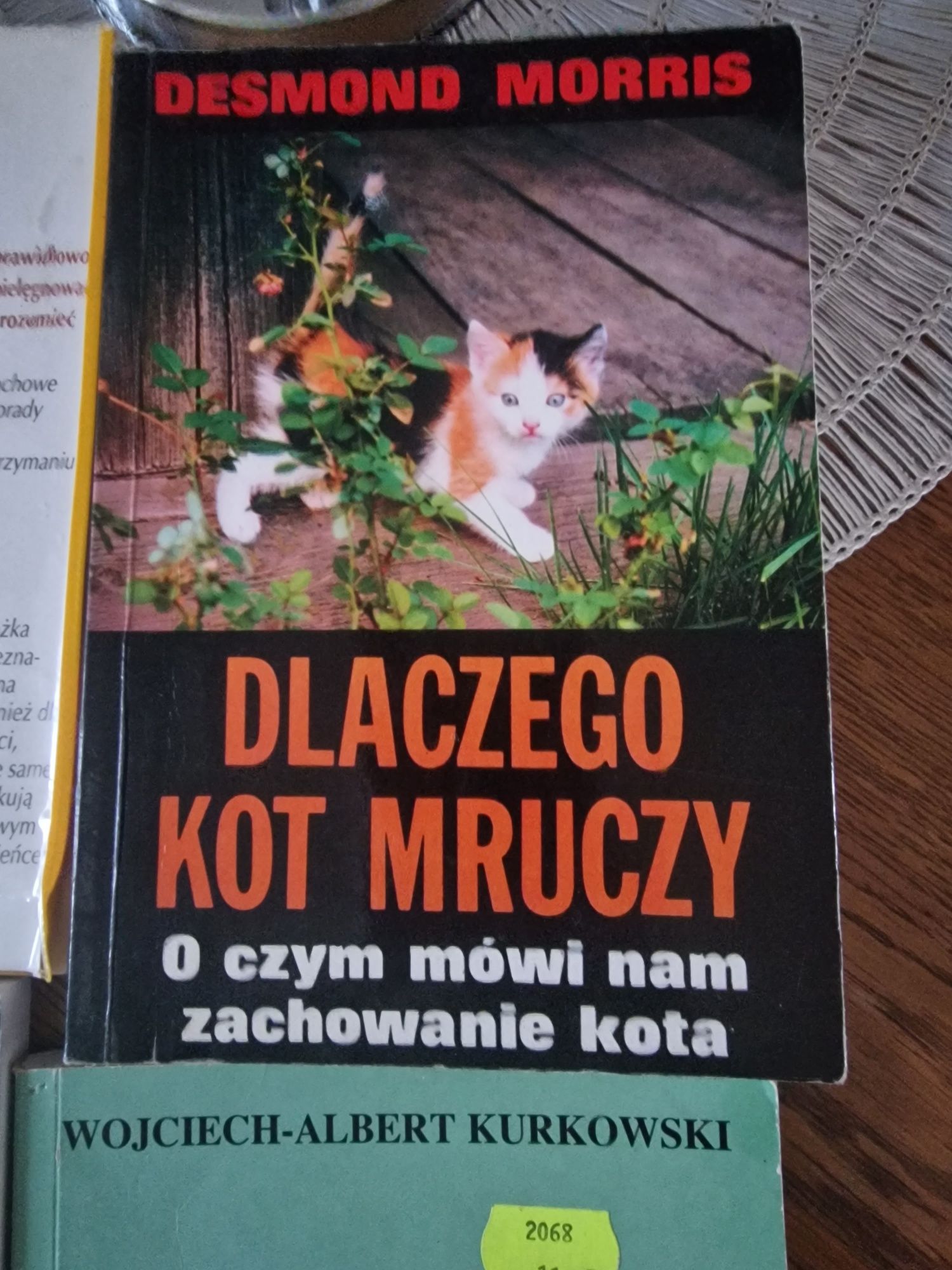 Książki o kotach