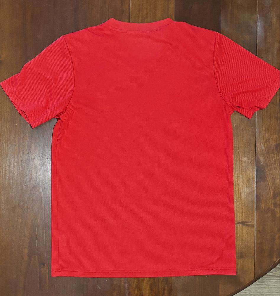 Camisola e calcoes benfica escolas M