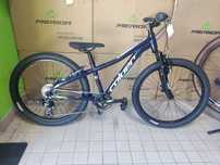 Coluer ascente 241