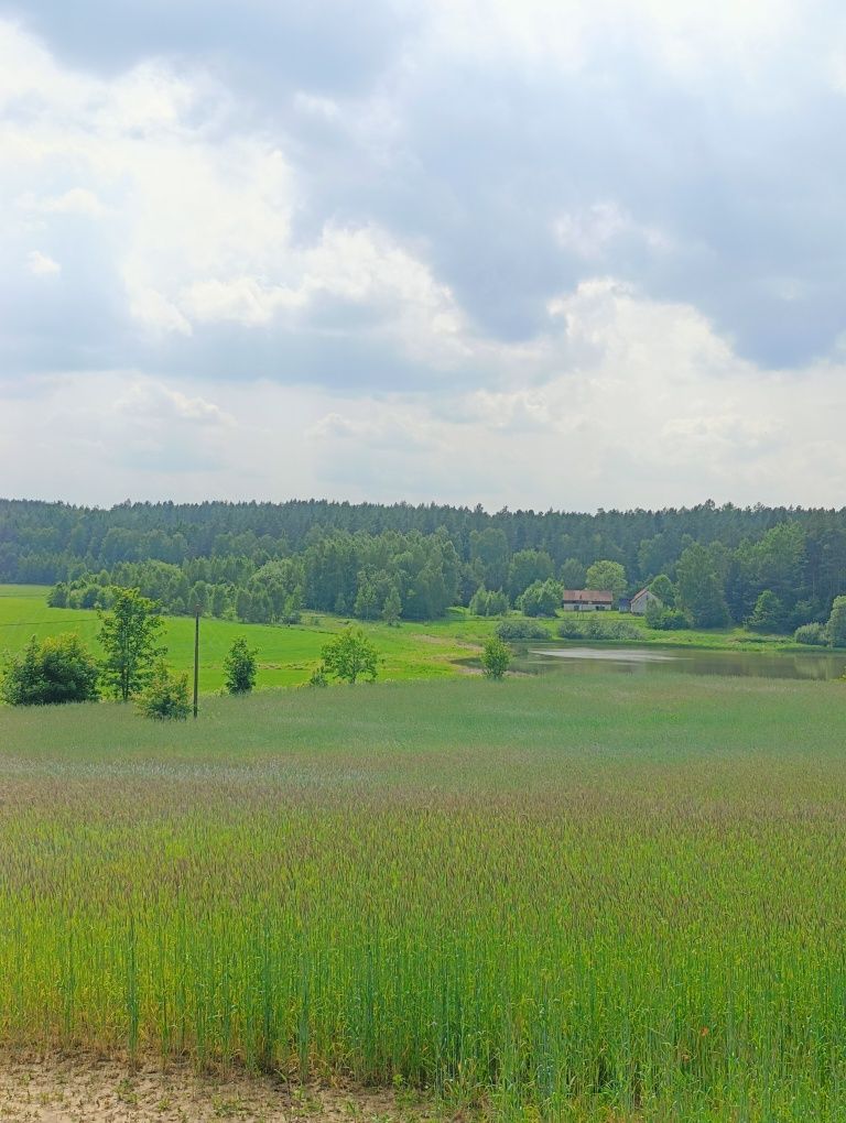 Działka z warunkami zabudowy!!