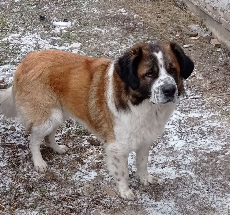 Запрошуємо на в'язку