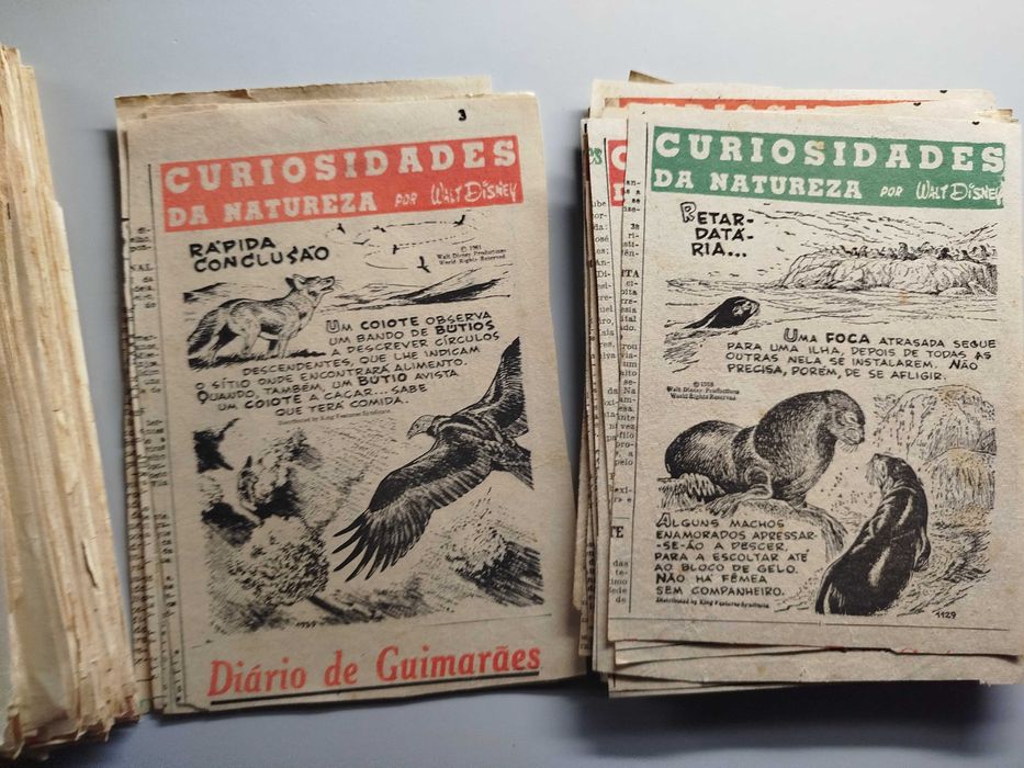 Curiosidades da Natureza por Walt Disney 330 Recortes de Jornal 1960s