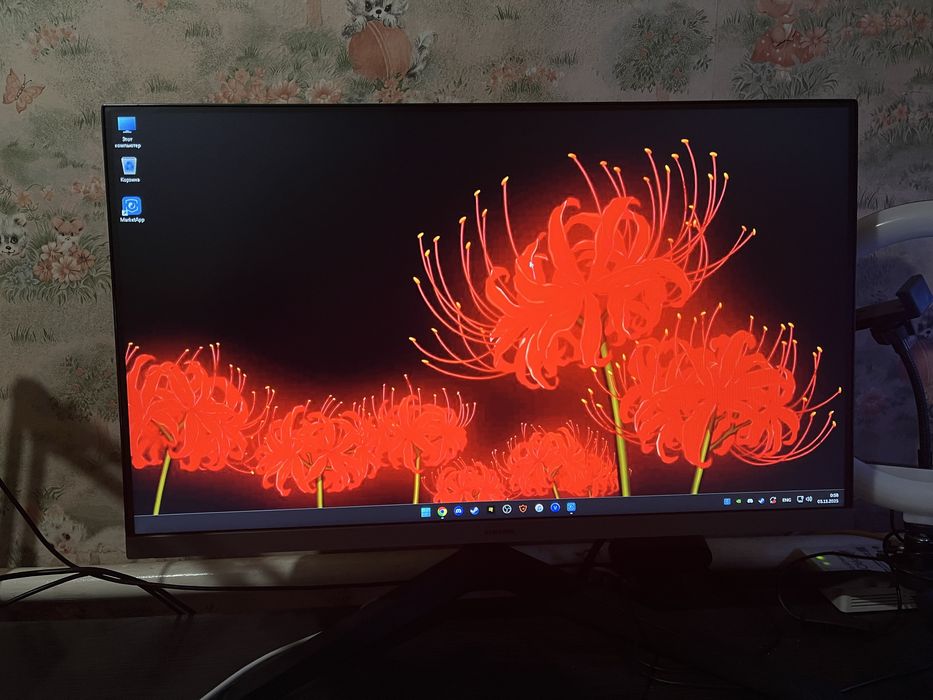 SAMSUNG LS24S33xG IPS 100hz 4ms