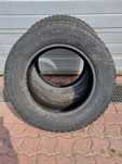 Opony zimowe dostawcze 215/65/R16C 109/107 Paxaro