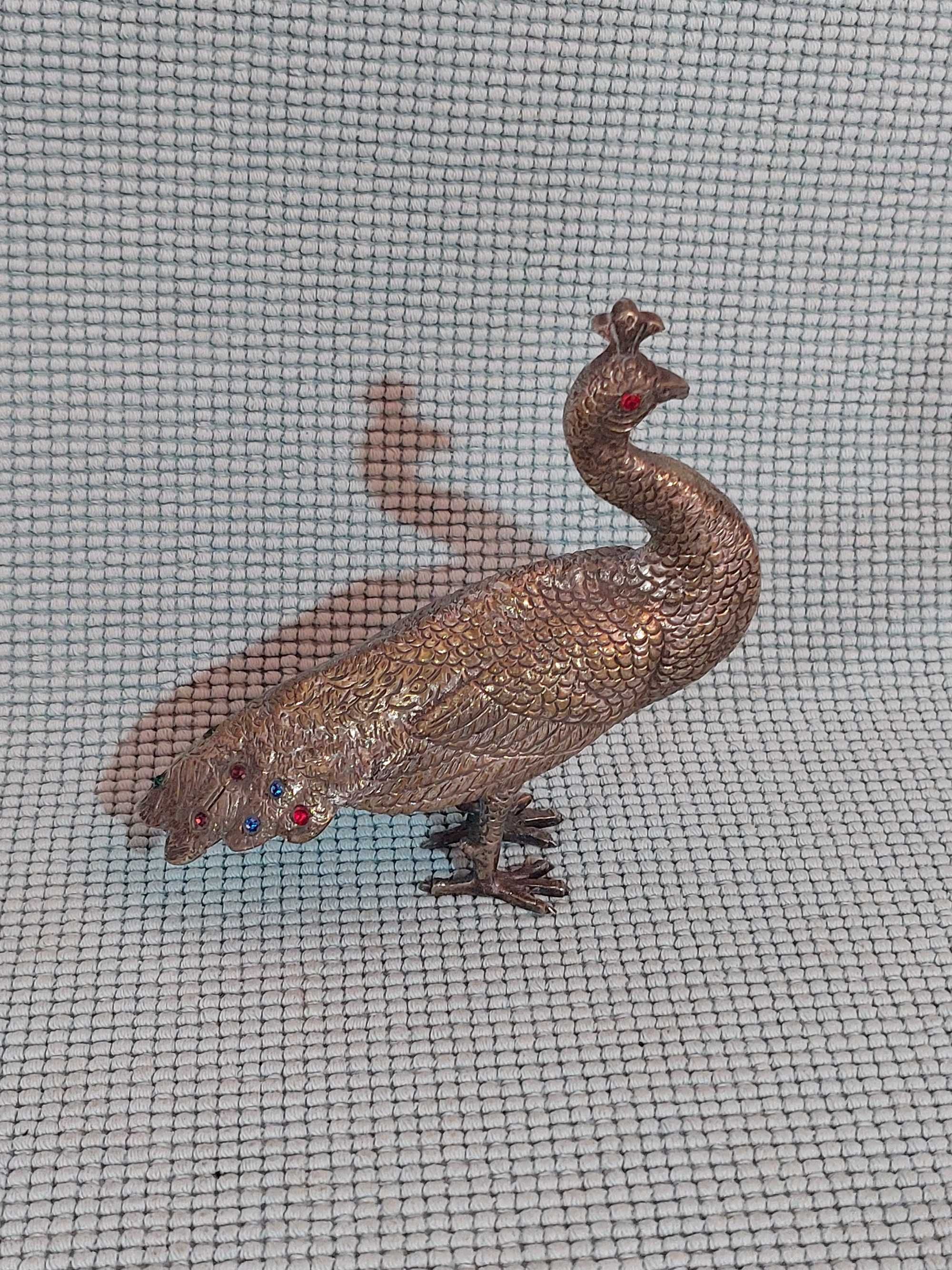 Casal de pavões antigos