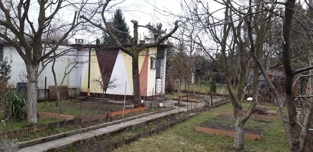 Sprzedam zadbaną działką na ROD Wypoczynek w Będzinie