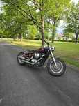Kawasaki Vulcan VN 800 Bobber Custom
