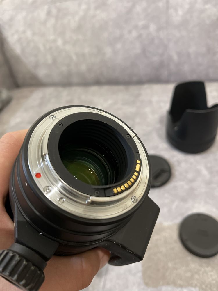 Sigma 70-200 APO DG HSM CANON