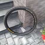 Przednie kolo maxxis